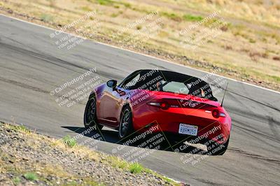 media/Mar-23-2025-West Coast Racing (Sun) [[de161b708f]]/Blue Group/Session 3 (Turns 3 and 5)/